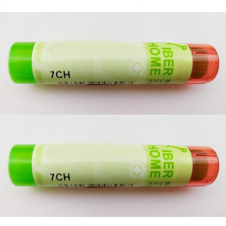 Comprar URTICA URENS 7 CH (7CH) TUBO DOBLE GRANULOS 4 GR IBERHOME