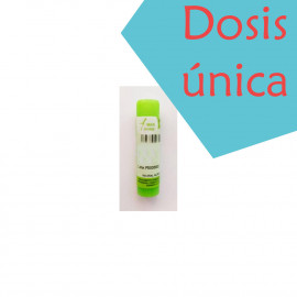 NUX VOMICA 15 CH (15CH)...