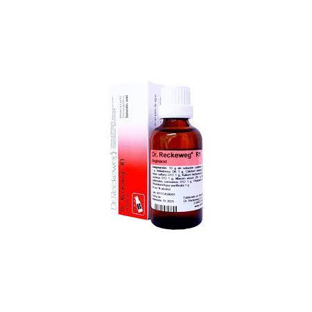 Comprar R1 ANGINACID GOTAS 50 ML  DR RECKEWEG online - Coliseum