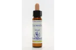 E.F. CLEMATIS 10 ML