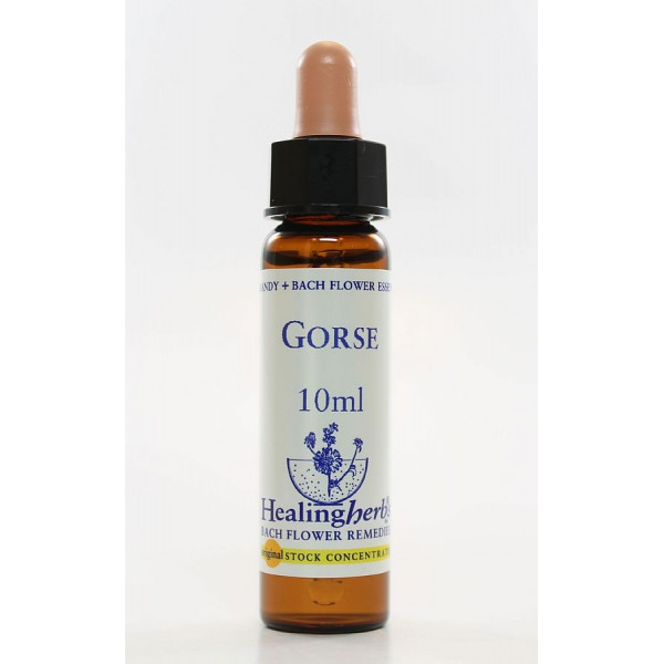 E.F. GORSE 10 ML.