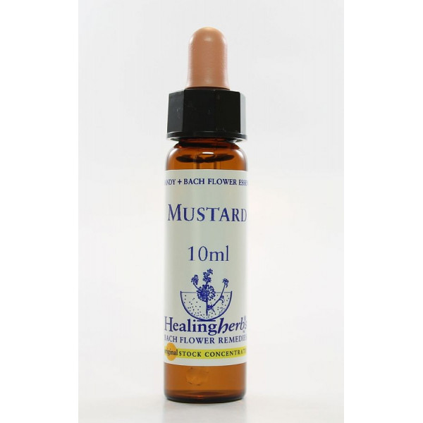 E.F. MUSTARD 10 ML.