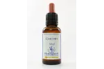 E.F. CHICORY 30 ML.