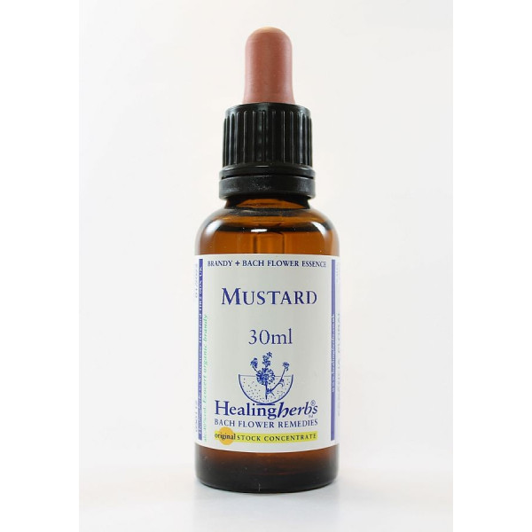 E.F. MUSTARD 30 ML.