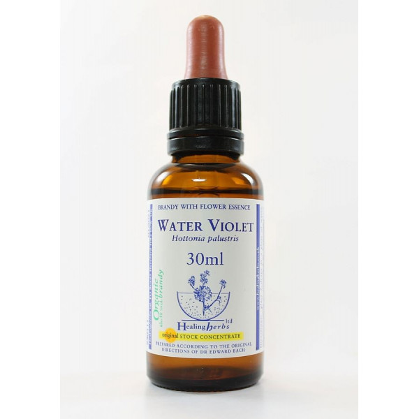 E.F. WATER VIOLET 30 ML.