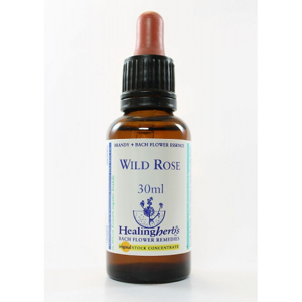 E.F. WILD ROSE 30 ML.