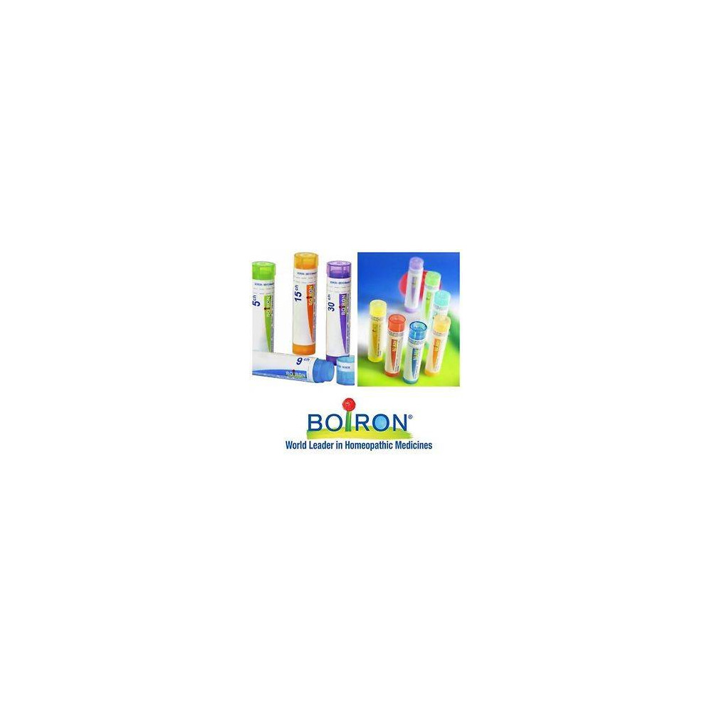 para+que+sirve+probioticos+suplemento+alimenticio