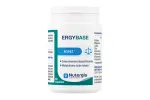 Comprar online ERGYBASE ( SALES BÁSICAS ) 60 CAP NUTERGIA - Coliseum