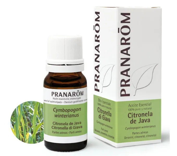 ACEITE ESENCIAL DE CITRONELA DE JAVA (CYMBOPOGON WINTERIANUS) 10CC PRANAROM