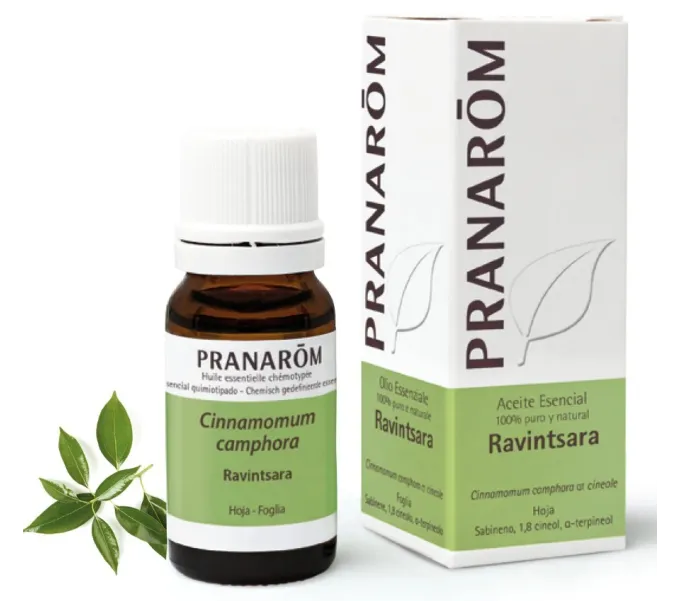 ACEITE ESENCIAL DE RAVINTSARA CINNAMOMUM CAMPHORA QT CINEOL 10 CC PRANAROM