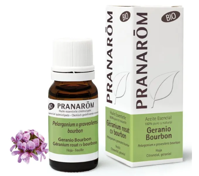 GERANIO BOURBON  BIO PELARGONIUM X ASPERUM BOURBON 10 CC PRANAROM
