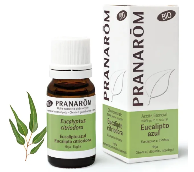 EUCALIPTO AZUL  BIO EUCALYPTUS CITRIODORA 10 CC PRANAROM