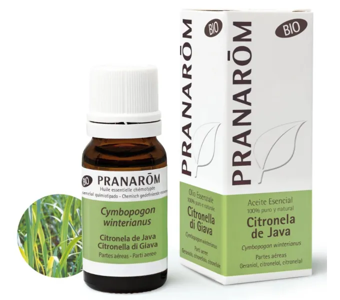 CITRONELA JAVA  BIO CYMBOPOGON WINTERIANUS 10 CC PRANAROM