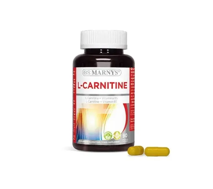 where is l carnitine found Benefits of Acetyl L-Carnitine