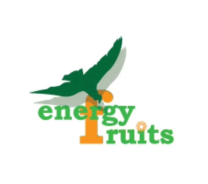 BO D TOX SHAKE 225GR (LUCUMA,CARDO,TRIGO,CHLORELLA) ENERGY FRUITS