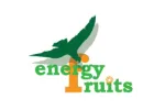 BO D TOX SHAKE 225GR (LUCUMA,CARDO,TRIGO,CHLORELLA) ENERGY FRUITS