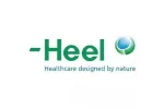 Comprar TRAUMEEL S POMADA 100 GR HEEL online - Farmacia Coliseum