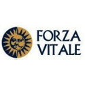 Comprar PINO QUINTA ESENCIA 10 CC FORZA VITALE online - Coliseum