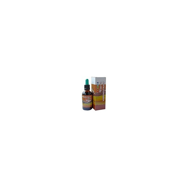 VIBROEXTRACT TIERRA 50ML EQUISALUD