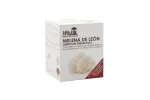 HERICIUM (MELENA LEON) 60 CAP HAWLIK NUTRINAT