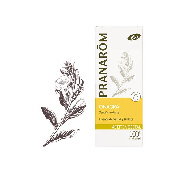 ONAGRA ACEITE VEGETAL BIO (OENOTHERA BIENNIS) 50 CC PRANAROM