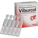 VIBURCOL 15 MONODOSIS ORALES HEEL