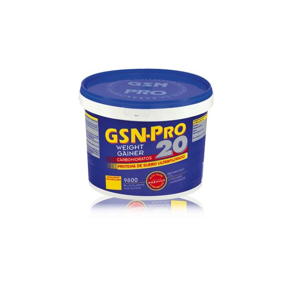 GSN PRO 20 CHOCOLATE 2,5KG GSN