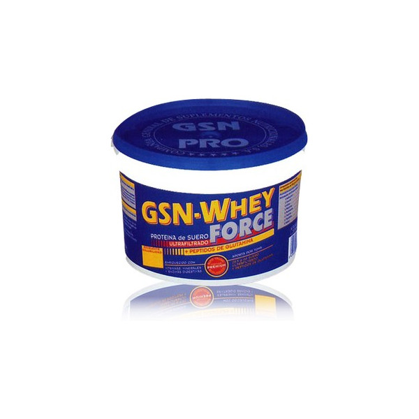 GSN WHEY FORCE CHOCOLATE 900 GR GSN