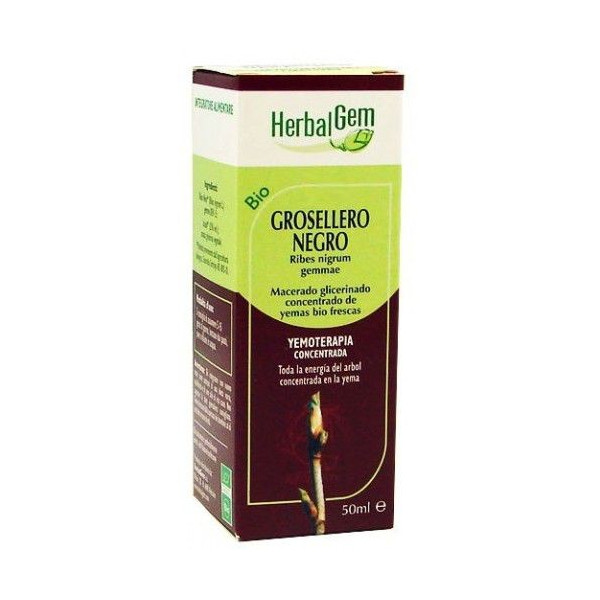 GROSELLERO NEGRO YEMODERIVADO BIO 50 CC HERBALGEM