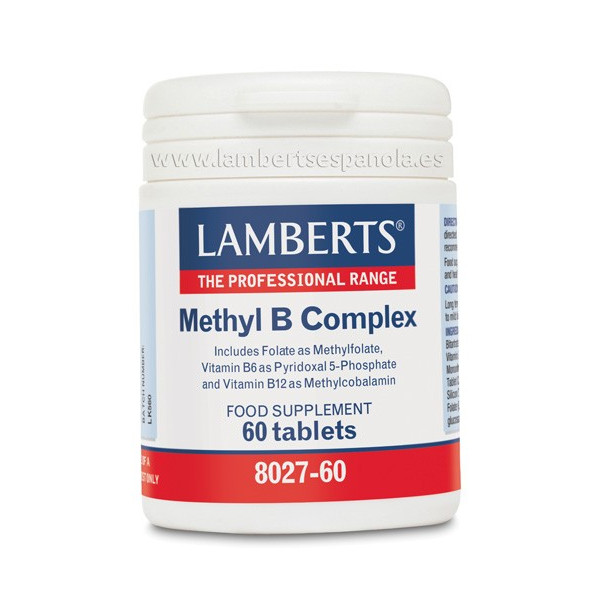 METHYL B COMPLEX 60 TAB LAMBERTS