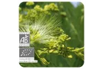 ACEITE ESENCIAL DE CLAVO  BIO (EUGENIA CARYOPHYLLUS) 10 CC PRANAROM