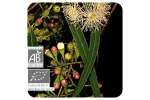 ACEITE ESENCIAL DE EUCALIPTO RADIATA  BIO (EUCALYPTUS RADIATA) 10 CC PRANAROM