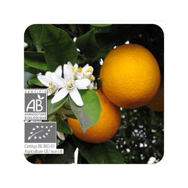 ESENCIA DE NARANJA DULCE  BIO (CITRUS SINENSIS CASCARA) 10 CC PRANAROM