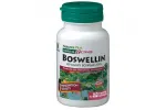 BOSWELLIN BOSWELLIA 300 MG 60 CAP NATURES PLUS