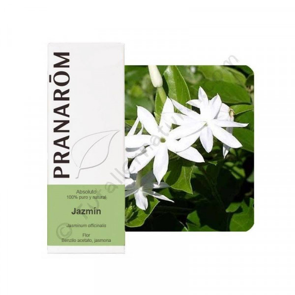 ACEITE ESENCIAL DE JAZMIN (ABSOLUTO DE JAZMIN)  (JASMINUM OFFICINALIS) 5 CC PRANAROM