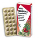 Comprar online FLORADIX 84 COMP. SALUS - Farmacia Coliseum