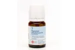 Comprar online MAGNESIUM PHOSPHOR N 7 80 COMP 250 MG SCHWABE-SS