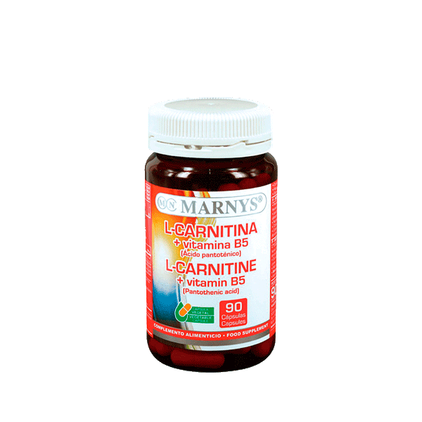 CARNITINA 500 MG B5 90 CAP MARNYS