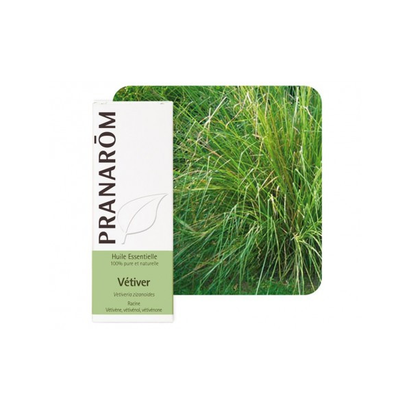 ACEITE ESENCIAL DE VETIVER  (VETIVERIA ZIZANOIDES) 5 CC PRANAROM