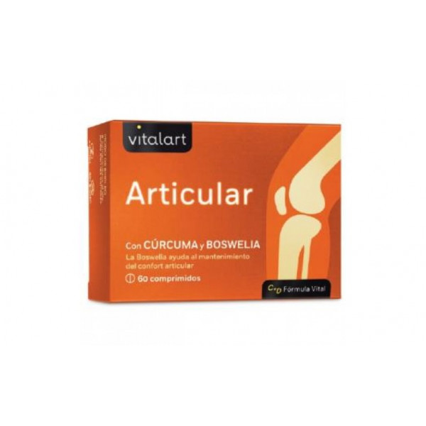 ARTICULAR  60 COMP VITALART