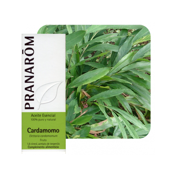 ACEITE ESENCIAL DE CARDAMOMO  (ELETTARIA CARDAMOMUM) 5 CC PRANAROM