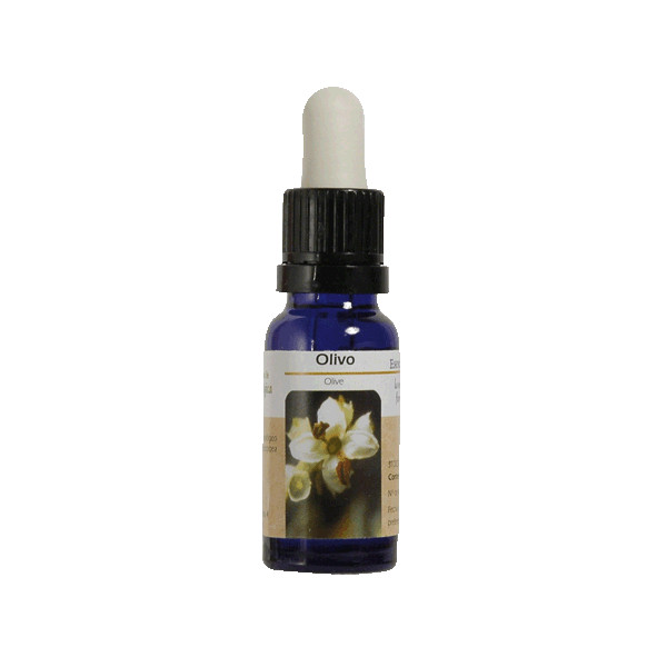 OLIVO ESENCIA 15 ML NESTINAR