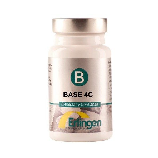 BASE 4C ERLINGEN