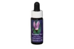 Comprar online E.F. SHOOTING STAR 7,5 ML FES CALIFORNIA - Coliseum