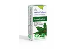 Comprar LAUREL NOBLE 5 ML ESENTIAL AROMS online - Farmacia Coliseum