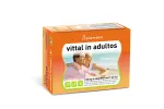 Comprar VITTAL IN ADULTOS JALEA REAL 20 AMP PLAMECA online - Farmacia Coliseum