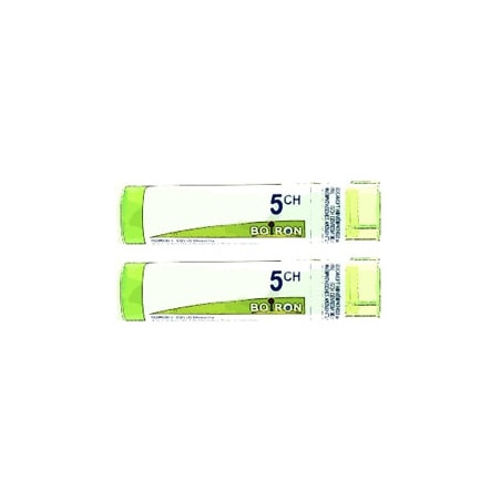 Comprar ABIES NIGRA 5 CH (5CH) TUBO DOBLE GRANULOS 4 GR BOIRON online