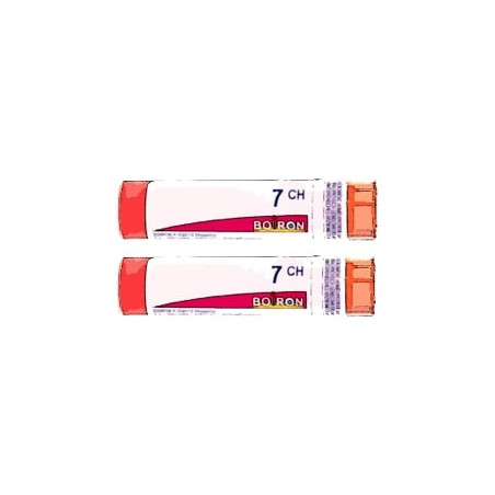 Comprar ACIDUM BENZOICUM 7 CH (7CH) TUBO DOBLE GRANULOS 4 GR BOIRON