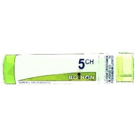 CONIUM MACULATUM 5 CH (5CH)...