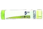 Comprar RICINUS COMMUNIS 5 CH (5CH) GRANULOS 4 GR BOIRON online